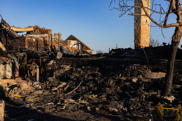 Reliable Content Restoration contractor in Winter Park, FL by Fire Damage Doption